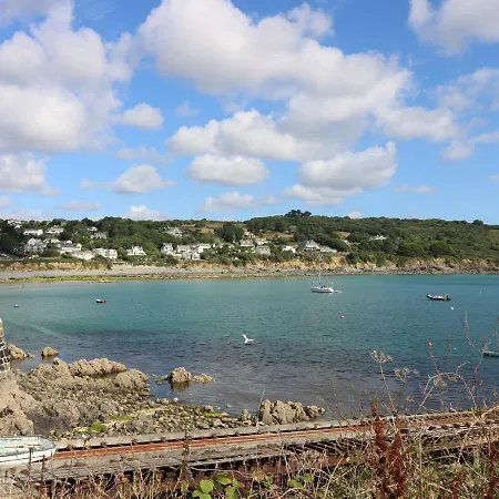Gannet Watch Coverack
