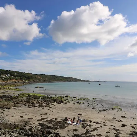 Gannet Watch Coverack